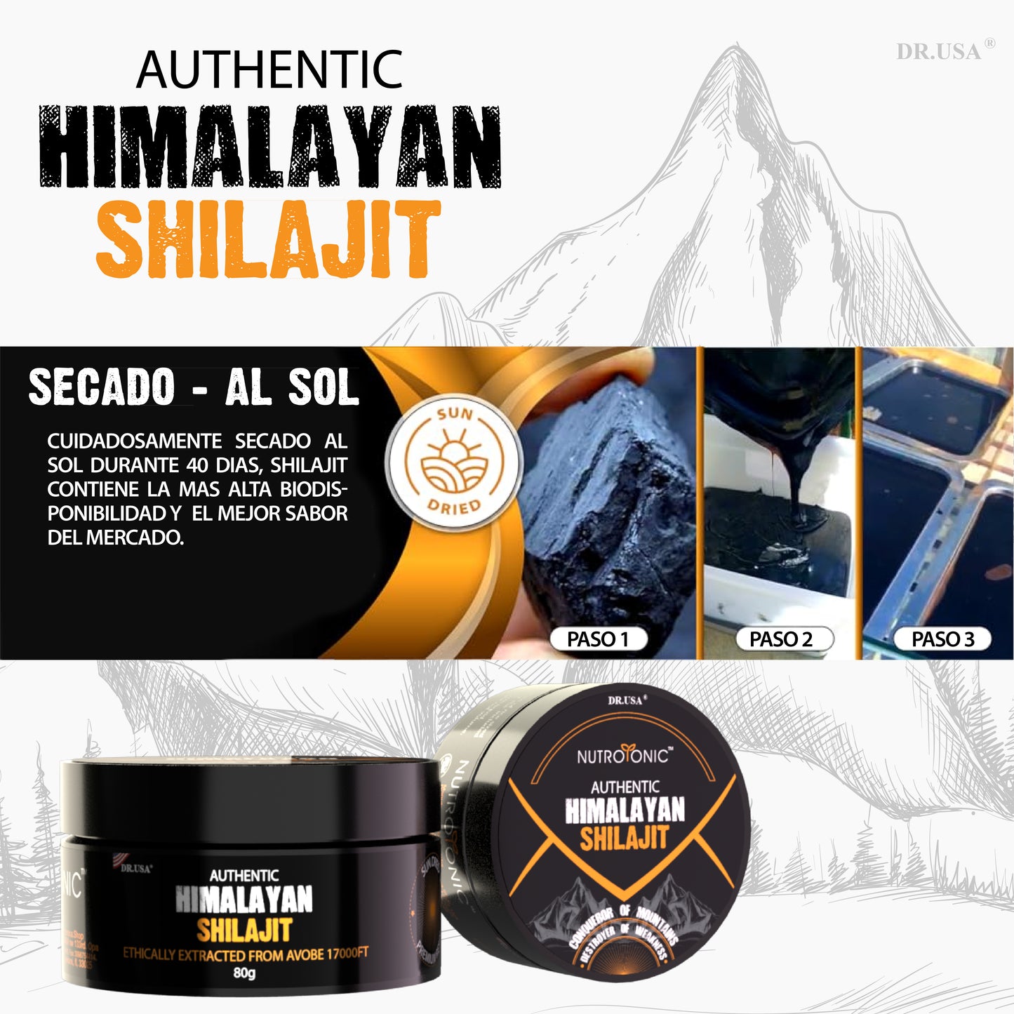 SHILAJIT DEL HIMALAYA ORIGINAL